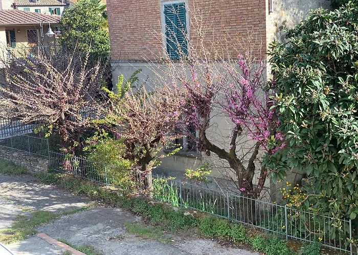 Apartament Smartspot Rosia